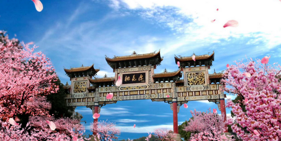 高原桃花源门票多少钱_高原桃花源门票优惠政策