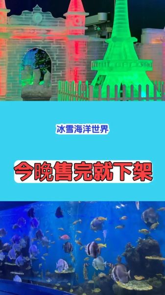 冰雪海洋世界主题公寓值得住吗_亲子家庭怎么玩