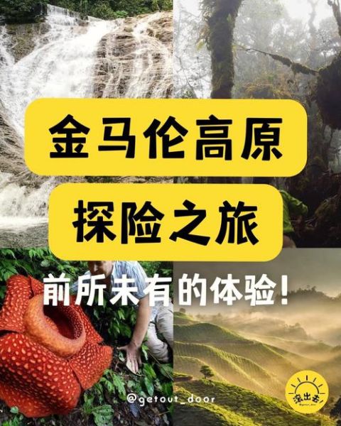 从新加坡到金马伦高原怎么走_金马伦高原交通攻略
