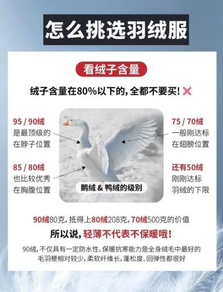 户外羽绒服怎么选_羽绒服充绒量多少克合适