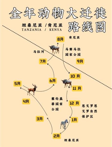 藏羚羊为什么迁徙_藏羚羊迁徙路线地图