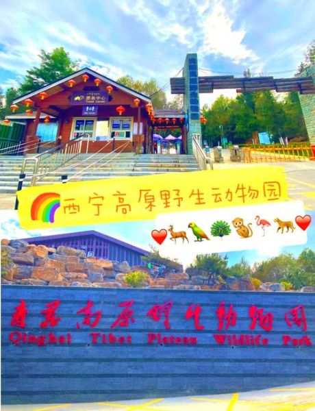 青藏高原野生动物园门票多少钱_如何购票最划算