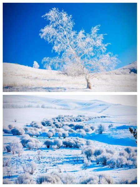 阿尔山冰雪摄影最佳时间_阿尔山拍雪景穿什么