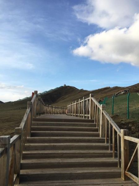 高原信号好吗_高原手机信号差怎么办