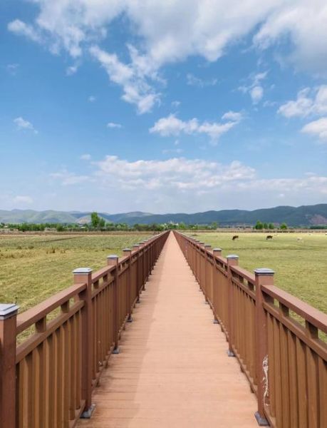 拉市海高原湿地怎么去_拉市海高原湿地最佳旅游时间