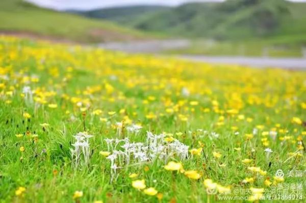 深度户外俱乐部怎么报名_深度户外俱乐部费用多少
