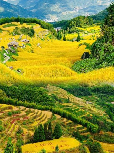 云贵高原梯田在哪里_最佳旅游季节是几月