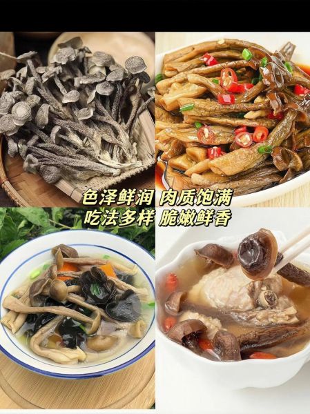 高原土特产哪里买_高原土特产有哪些值得带