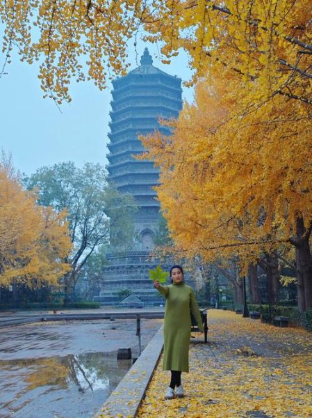 北京玲珑塔门票价格_北京玲珑塔开放时间