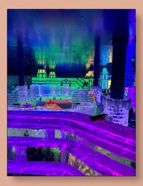 重庆奇幻冰雪王国门票价格_重庆奇幻冰雪王国好玩吗