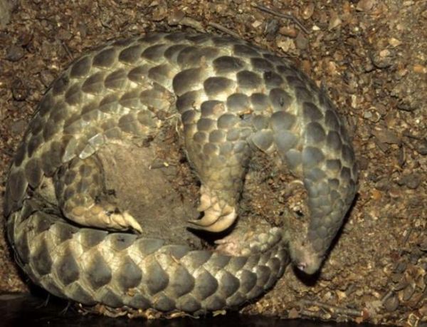 宣城穿山甲户外怎么样_值得去吗