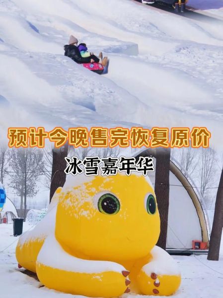 冰雪嘉年华门票价格_冰雪嘉年华有什么好玩的
