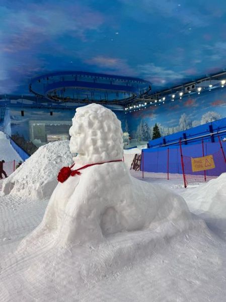 武汉冰雪世界冰雪奇园门票多少钱_开放时间