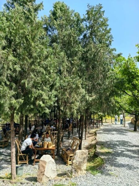 咸阳森林人户外怎么样_值得去吗