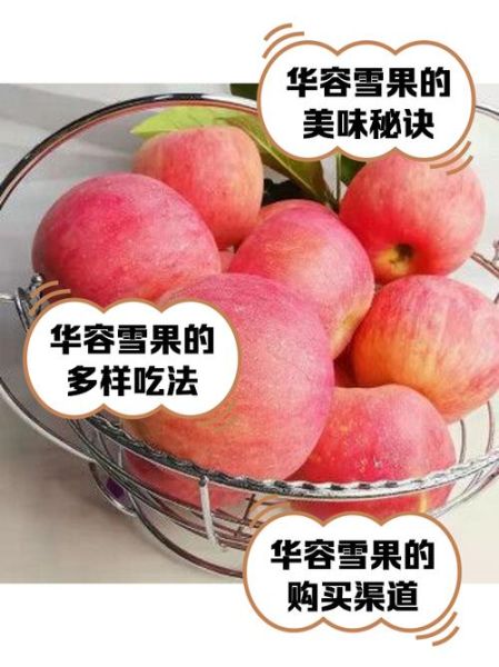 冰雪果实有什么用_冰雪果实怎么获得