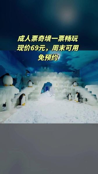 瑞翔冰雪世界2日游团购价格_怎么玩最划算