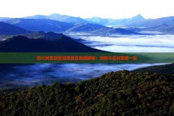 黄龙旅游高原反应_如何预防