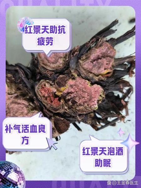 红景天怎么吃预防高原反应_红景天提前几天吃最有效