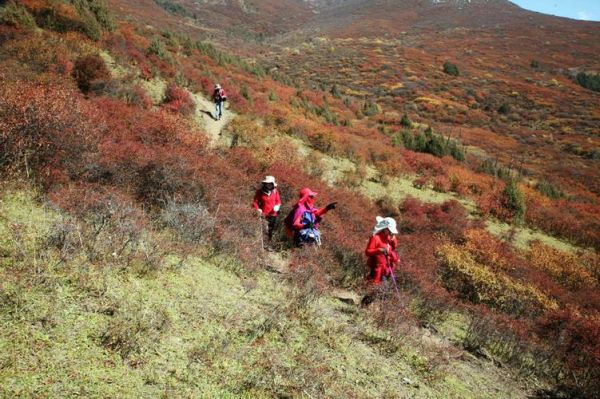 中华户外网可靠吗_中华户外网线路怎么样