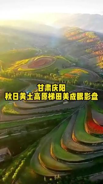 庆阳黄土高原在哪里_庆阳黄土高原有什么特色
