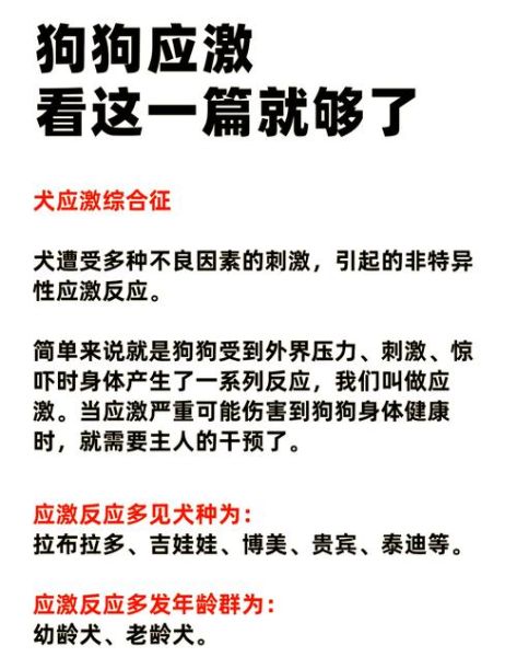 狗狗高原反应怎么办_高原旅行必备指南