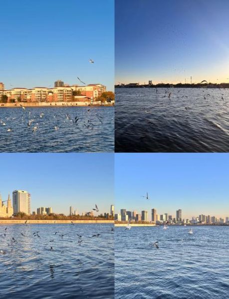 北京的海在哪里_北京看海最佳地点推荐