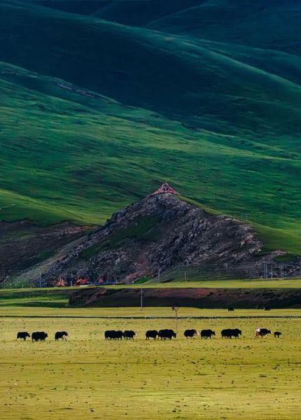 青藏高原风景摄影最佳时间_如何拍出震撼大片