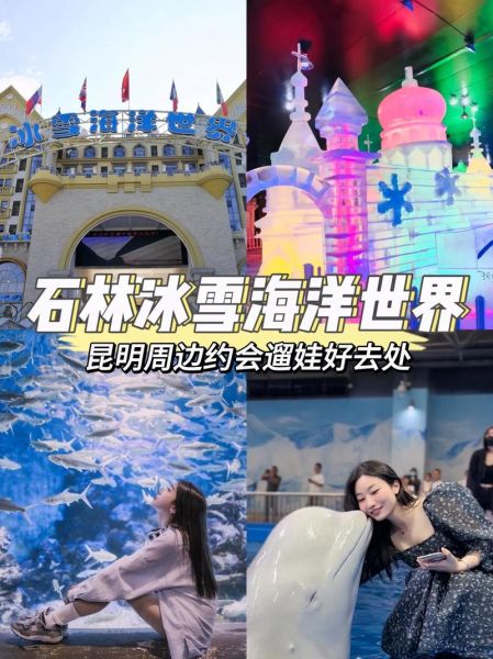 石林冰雪海洋门票价格_石林冰雪海洋有什么好玩的