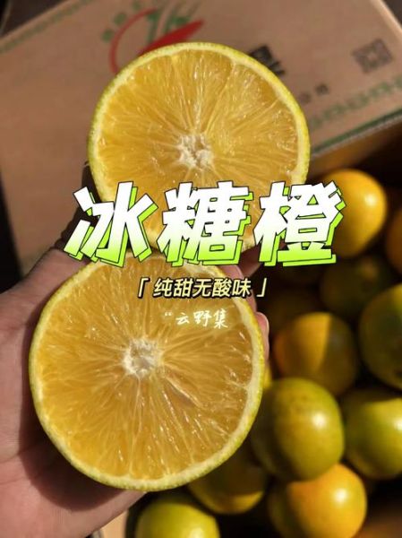 高原王子是什么_高原王子有哪些功效