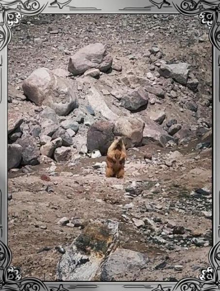 高原上多久洗一次澡_高原洗澡注意事项