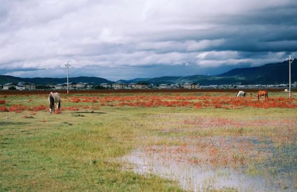 香格里拉会不会高反_海拔多少米