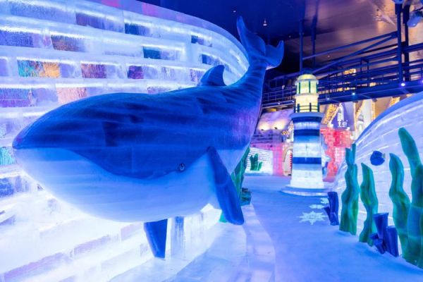 北极岛冰雪乐园门票价格_北极岛冰雪乐园游玩攻略