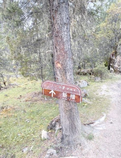 去林芝会有高原反应吗_林芝海拔多少米