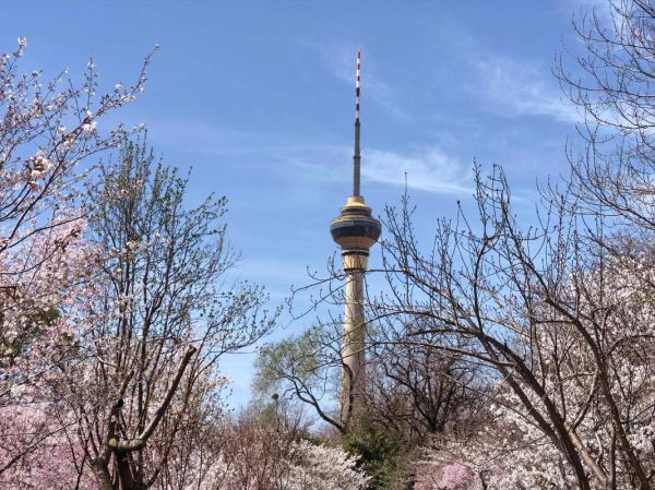 北京玉渊潭公园樱花节时间_门票多少钱