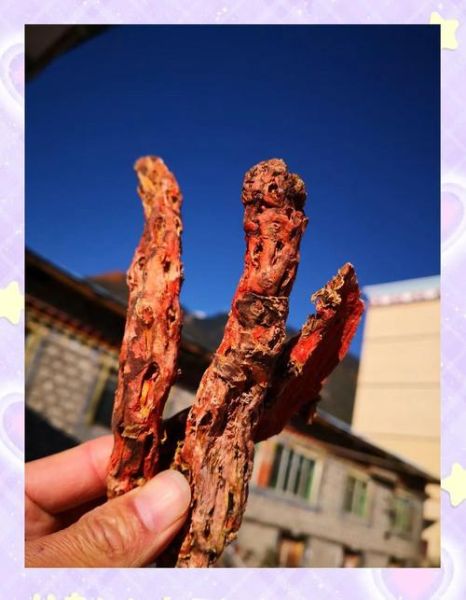 红景天能治高原反应吗_红景天提前几天吃效果最好