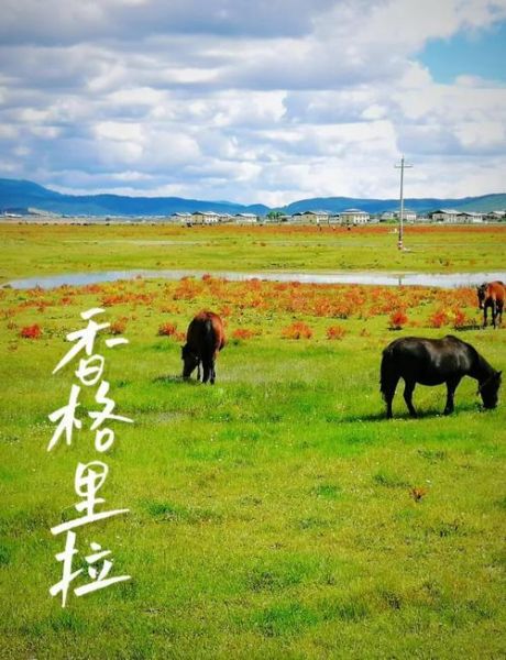 香格里拉属于哪个高原_香格里拉在哪个高原上