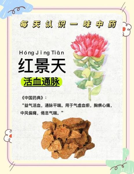 到了高原能吃红景天吗_红景天预防高反怎么吃