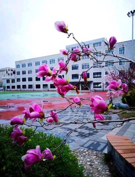 北京市第二十四中学怎么样_北京市第二十四中学招生条件